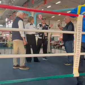 WhatsApp Video 2025-10-21 at 09.41